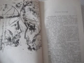 Книга "Време разделно - Антон Дончев" - 458 стр., снимка 4