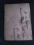 Стара Снимка семейство Плевен , снимка 2