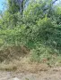 Продавам парцел, снимка 2