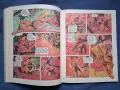 Стари Френски Комикс Албума RAHAN , снимка 7