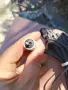 Тонколони Рспром 2x30 w, използвани, снимка 4