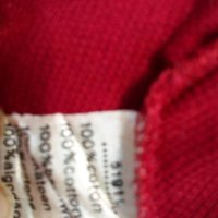 Поло шърт Lacoste, М, 100% памук, дълъг ръкав, снимка 5 - Блузи - 42195715