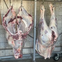 Продавам телета и телешко месо, снимка 5 - Крави - 38112465