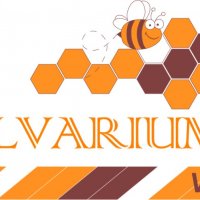 Зимна храна за пчели Алвариум с ВИТАМИНИ по 1 КГ , снимка 1 - За селскостопански - 26579063