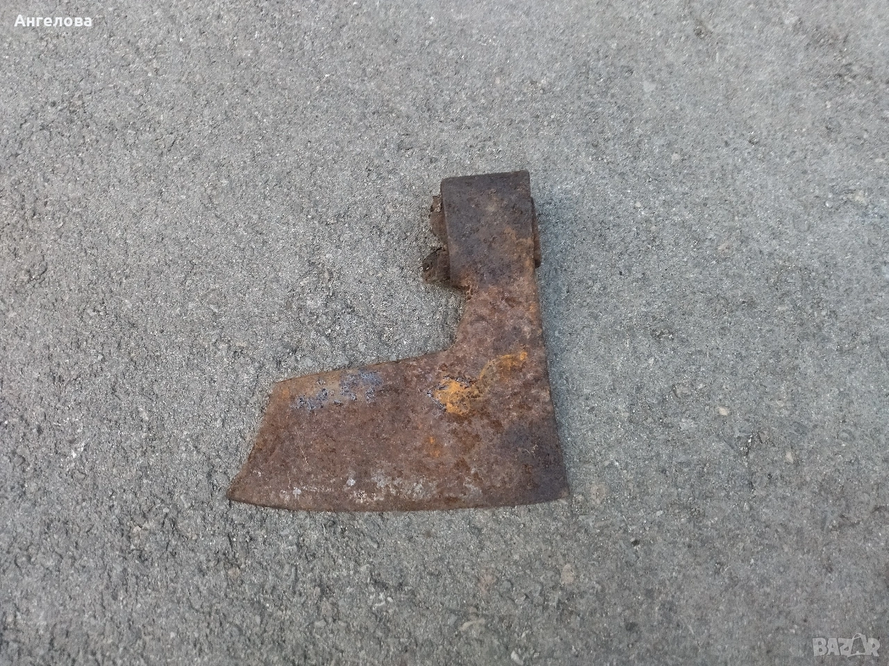 Брадва, снимка 1