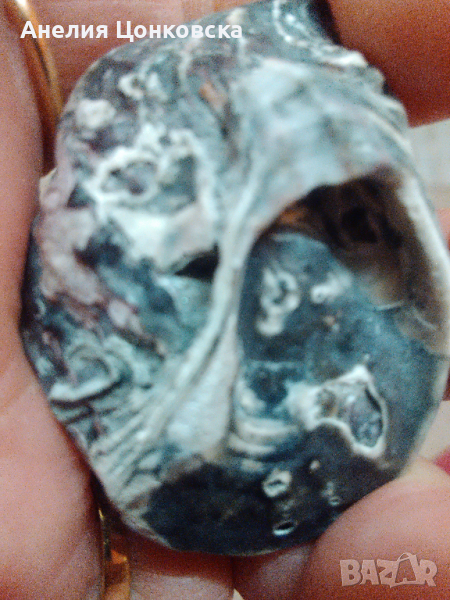 Седефени черупки от стриди 60 броя - 2021 г., снимка 1