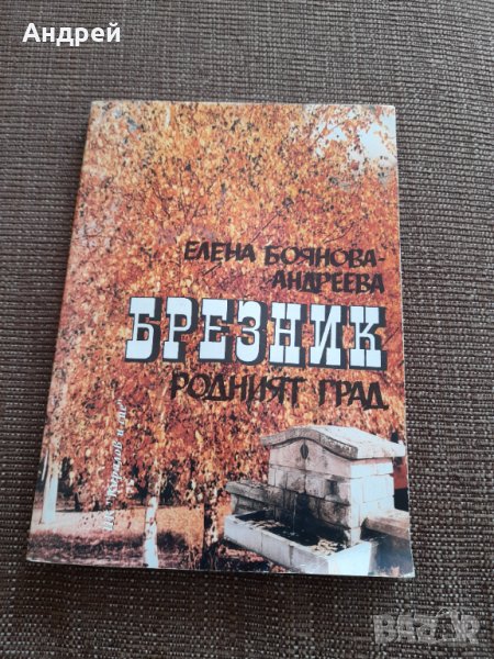 Книга Брезник Родният край, снимка 1