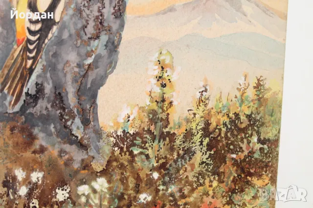 Акварел /автор-Никола Пилчев/ ''Кълвач'', снимка 4 - Картини - 49131527