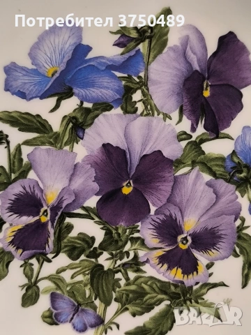 колекционерска чиния, снимка 2 - Колекции - 53457645