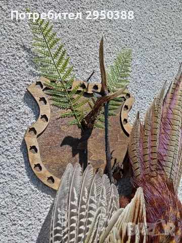 Препариран мъжки фазан , снимка 4 - Други - 50081102