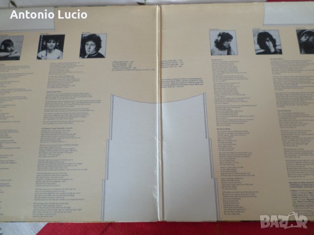 AL Stewart - Year of the Cat, снимка 2 - Грамофонни плочи - 39182644