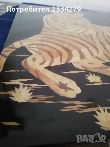 Две картини ръчно изработени. , снимка 7 - Картини - 52976418