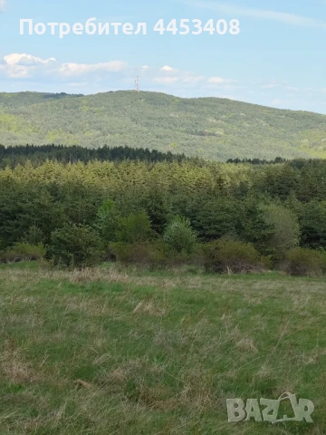 Продава ИМОТИ с.Плана, снимка 9 - Парцели - 50951256