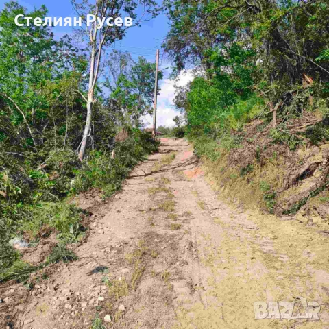 вила / къща с градина / имот / парцел 1500кв.м в с. Ветрен / обл. Силистра - цена 35 000лв или 17 89, снимка 11 - Етаж от къща - 52236966