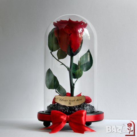 Романтичен Подарък за Жена / ЕСТЕСТВЕНА Вечна Роза в Стъкленица / Подарък за Годишнина от Сватбата, снимка 8 - Романтични подаръци - 34470495