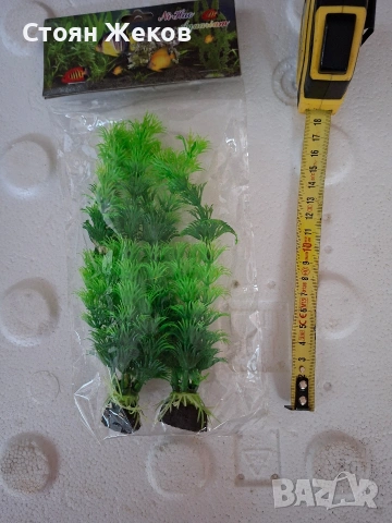 продавам аквариумни растения., снимка 2 - Оборудване за аквариуми - 53694734