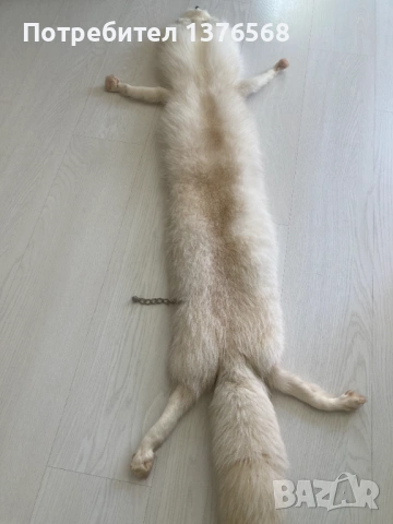 яка/кожа от сребърна лисица, снимка 3 - Шалове - 53734204