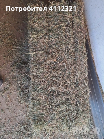 Бали люцерна - доставка на място , снимка 3 - За селскостопански - 53218939