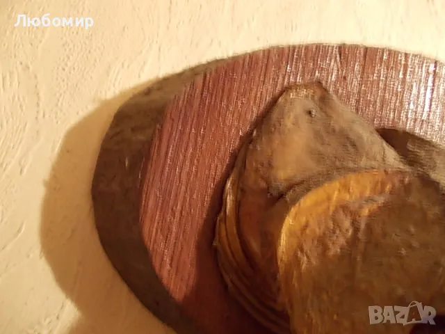 Стар риболовен трофей, снимка 4 - Антикварни и старинни предмети - 49878442