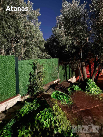 ✅Декоративна мрежа - Жив плет - ограда, снимка 8 - Огради и мрежи - 44666291