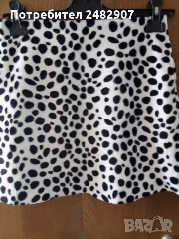 Дамска пола