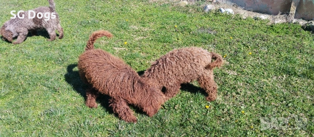 продавам лагото, снимка 7 - Други - 53779021