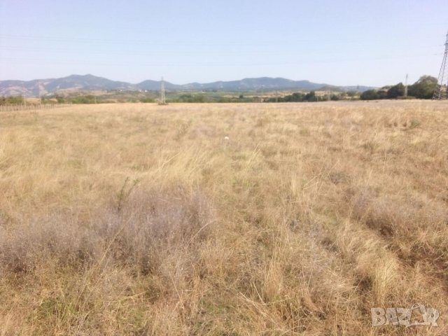 Давам под наем 6 декара земя в гр. Кърджали, снимка 2 - Земеделска земя - 39886579