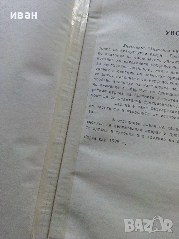 Анатомия на Човека-учебник записки - Т.Тодоров,И.Стоянов - 1979г., снимка 3 - Учебници, учебни тетрадки - 53834269