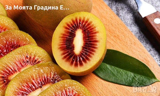 Киви 10 вида