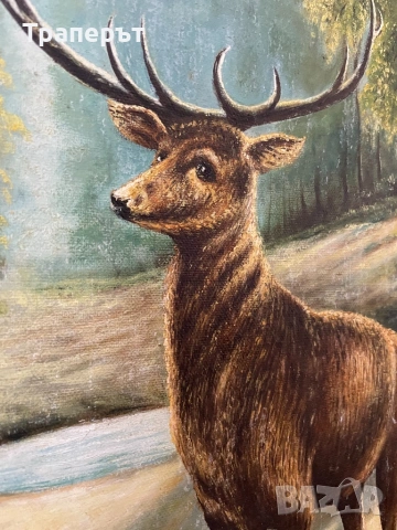 Стари картини, снимка 5 - Картини - 53847637