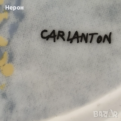 Порцеланови чинии/чиния за стена/пана, снимка 2 - Пана - 52500719