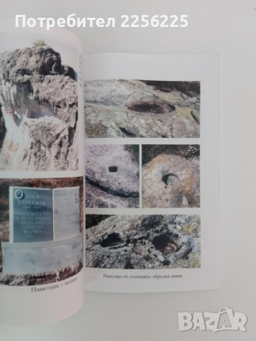 Свещения лес на бесите, снимка 9 - Художествена литература - 51462075