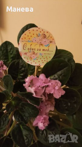 Послание на клечка , снимка 14 - Декорация за дома - 39305794