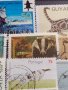 Лот Пощенски марки смесени серий ЖИВОТНИ от цял свят за КОЛЕКЦИЯ 22629, снимка 4