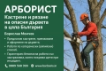 🌳 Арборист – Борислав Момчев. Рязане и кастрене на всякакви дървета Безопасно!!!, снимка 2