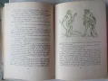 Марк Твен Принцът и просекът илюстрации Борис Ангелушев 1963 година, снимка 10