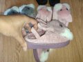 НОВИ детски пантофи чехли топлинки зайчета, снимка 4