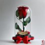 Романтичен Подарък за Жена / ЕСТЕСТВЕНА Вечна Роза в Стъкленица / Подарък за Годишнина от Сватбата, снимка 8