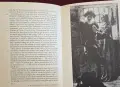 The Pre-Raphaelites, снимка 8