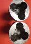 Оригинални планетни колела / чаши за полуоски IFA DDR за Вартбург 1.3, снимка 3
