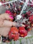 Продавам ключодържатели естествена кожа! , снимка 10