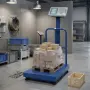 Платформена електронна везна ACS 300/350 кг 40×50, снимка 1
