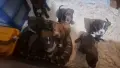 Американско були , снимка 1