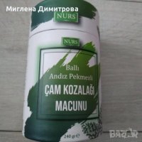 NURS - Билкова паста с борови шишарки, 240 гр за прпчистване на дихателните пътища, снимка 1 - Хранителни добавки - 39616569