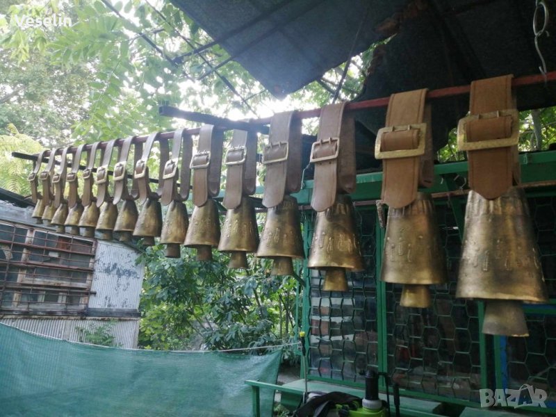  Ново Чанове 1-15 Ном, , снимка 1