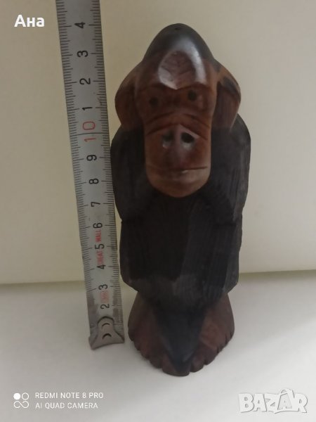 Африканска дървена маймуна, снимка 1
