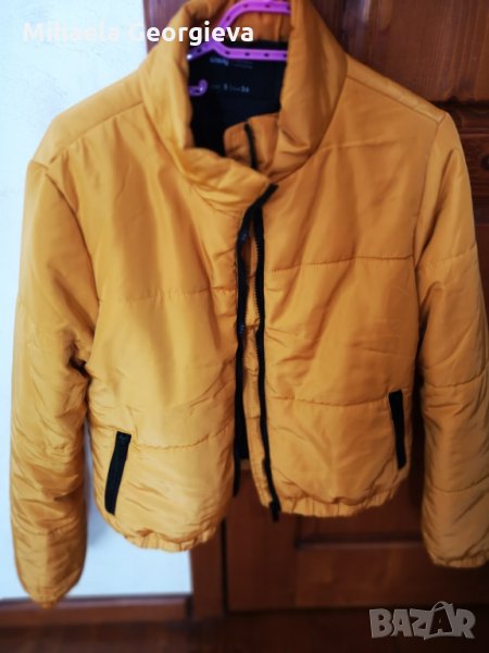 Яке цвят горчица, снимка 1