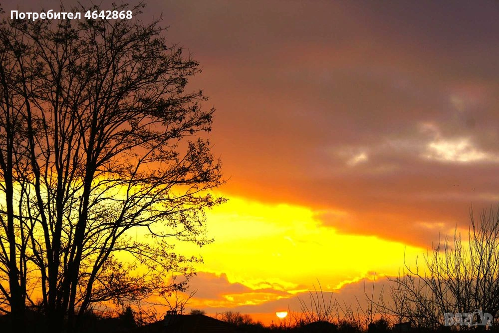 Фотографски услуги , снимка 1