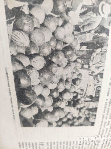 Продавам списание Сердика за 1947 г, снимка 12 - Списания и комикси - 41082339