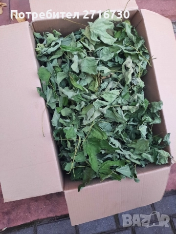 Чай от сушени смокинови листа - 100% био продукт, снимка 2 - Други - 52351885